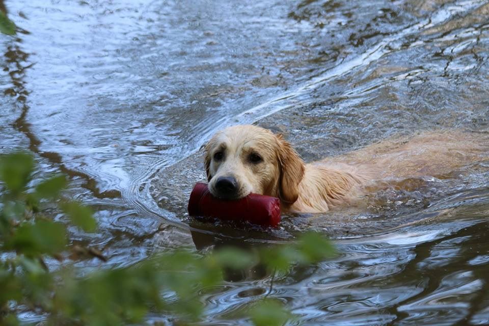Travail à l'eau