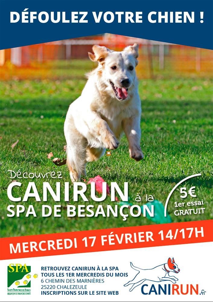 Canirun