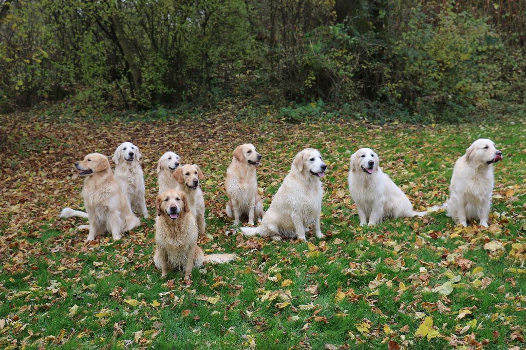 Liska et ses amis